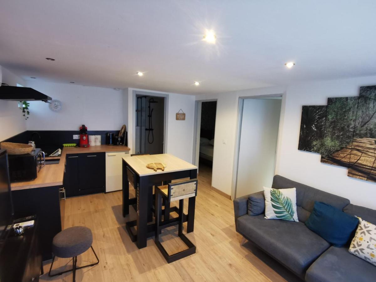 Gite 2 Chambres Avec Piscine Sernhac エクステリア 写真