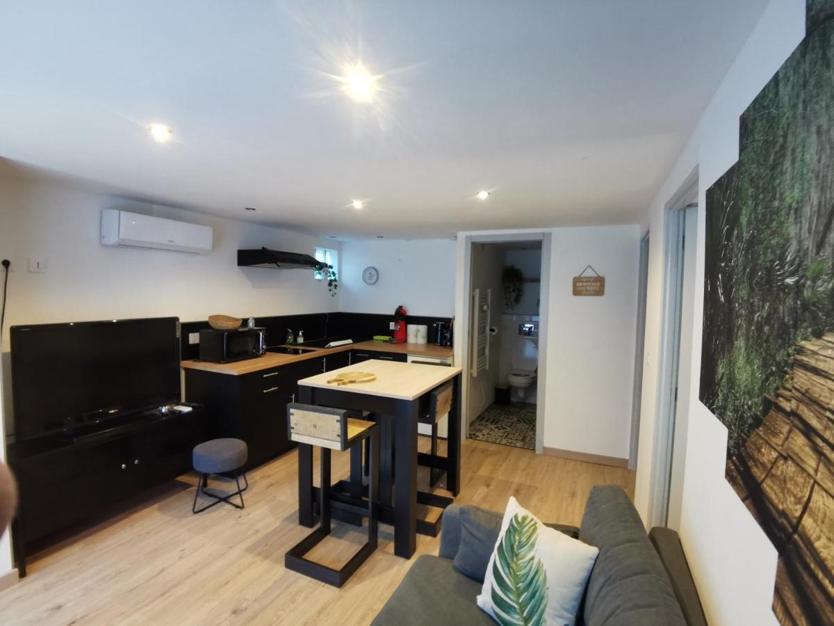 Gite 2 Chambres Avec Piscine Sernhac エクステリア 写真